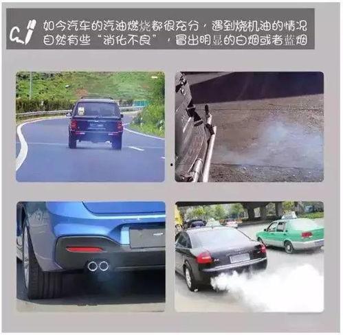 烧机油车主爆料视频,烧机油现象揭秘，视频曝光惊人真相  第1张